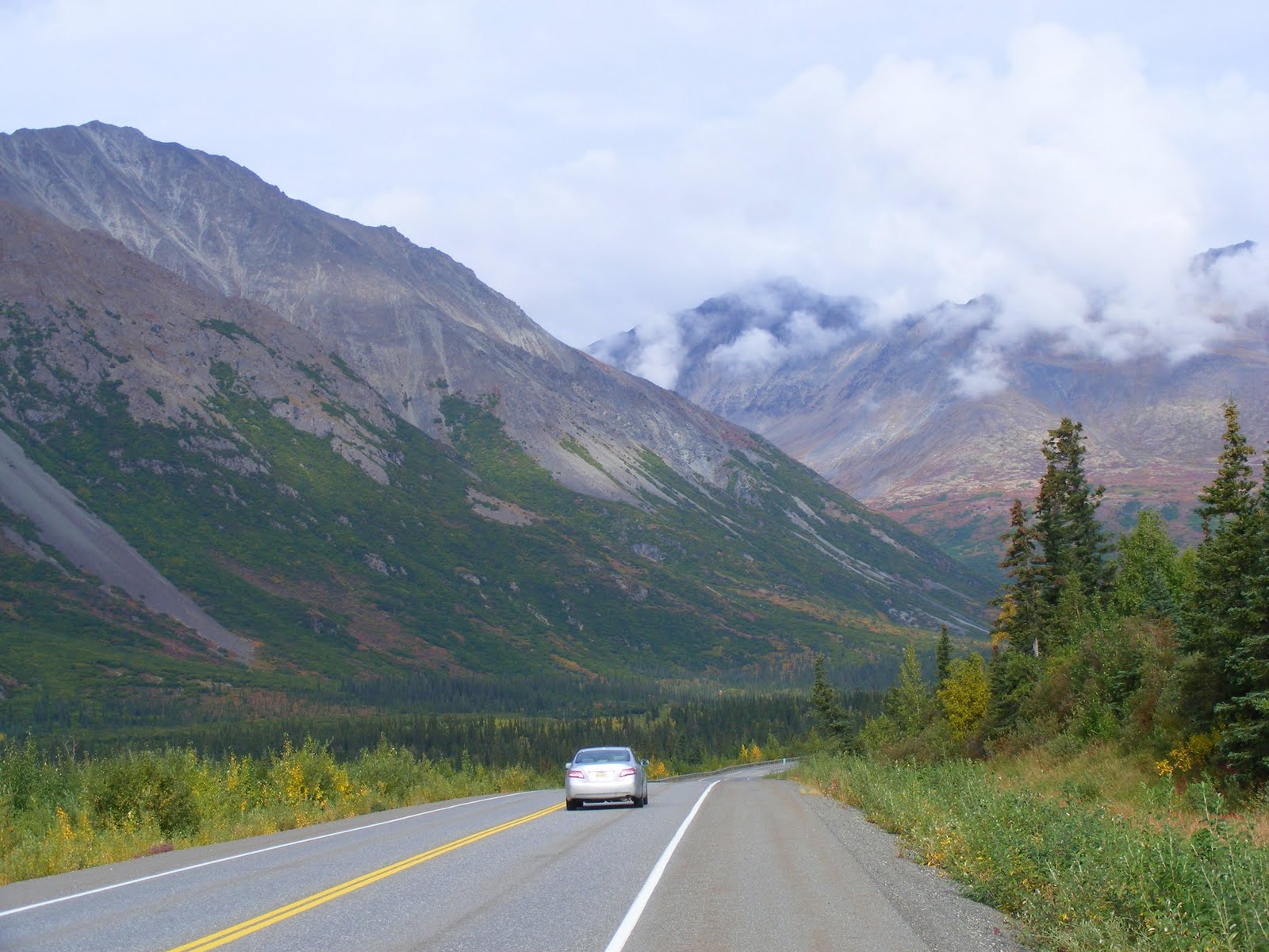 Denali Day Tour from Fairbanks