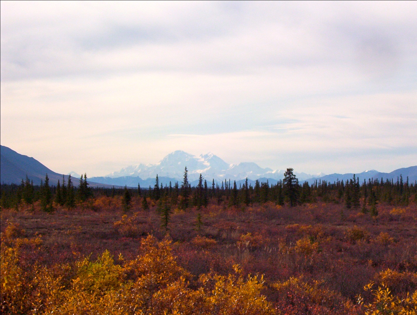 Denali National Park offers a wide array of gorgeous natural colors (Wikimedia Commons)