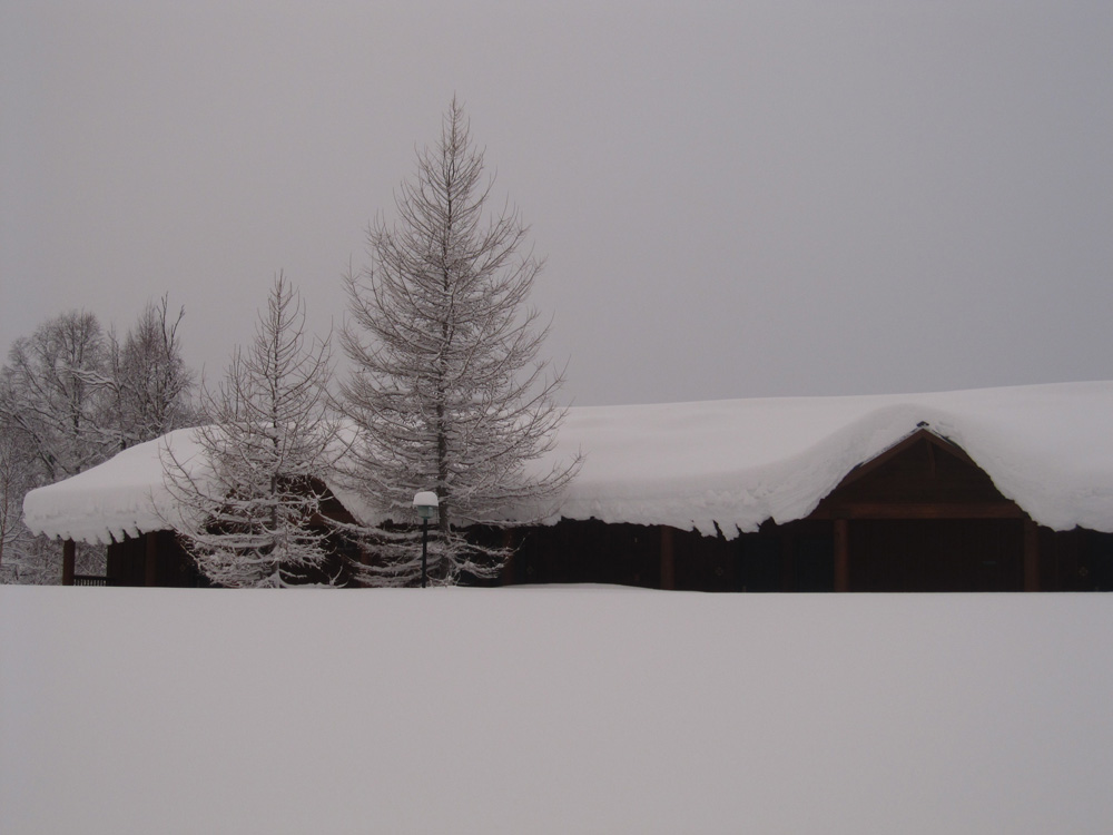 Snow Covered McKinley Princess Lodge