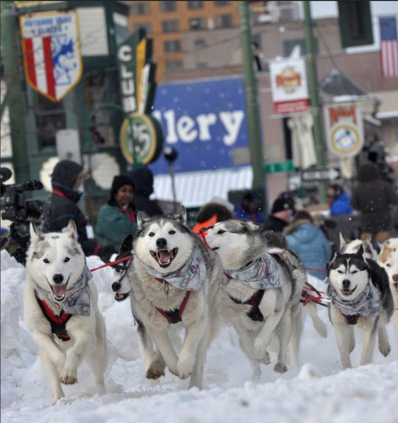 Photo Credit: http://www.adn.com/2010/03/06/1170971/iditarod-ceremonial-start.html#id=1171055&view=large_view