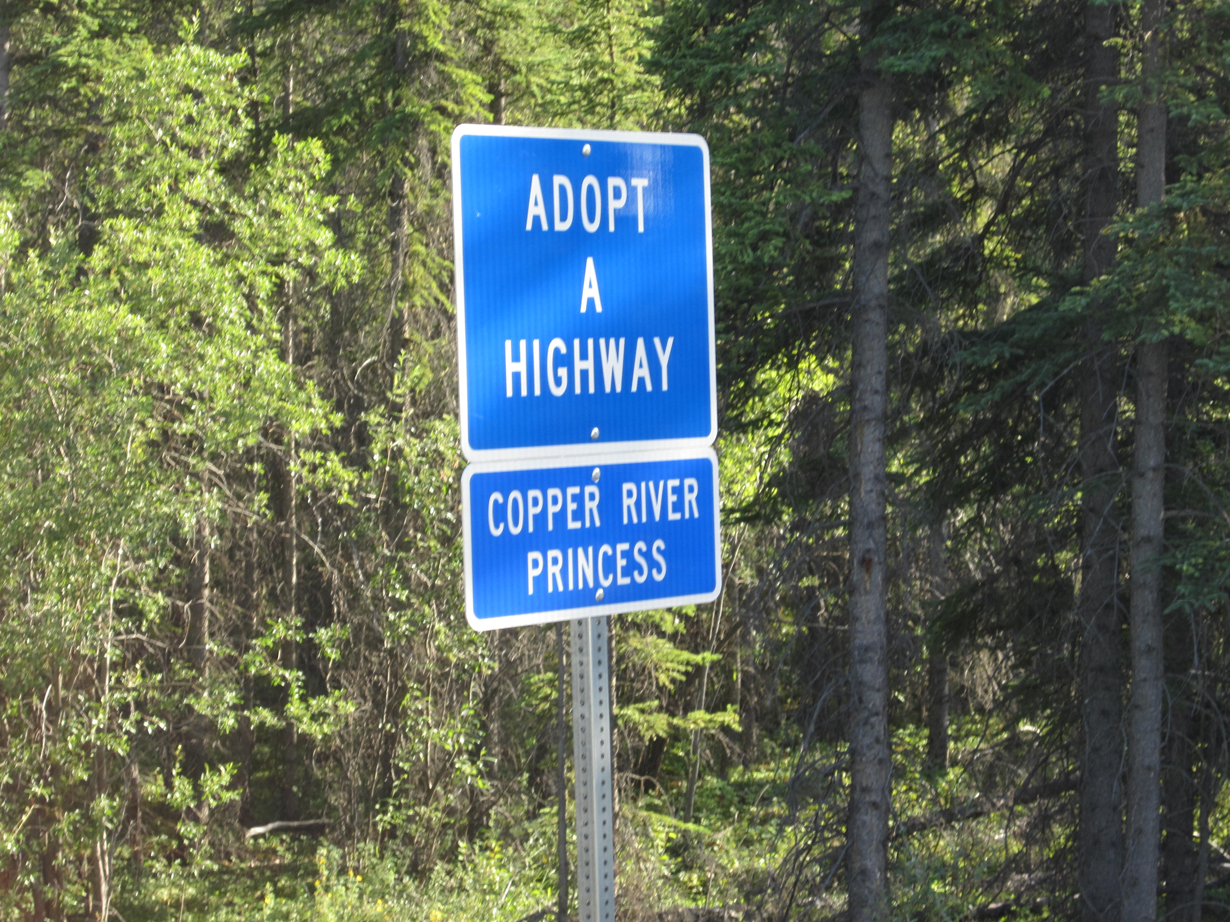 A blue Adopt A Highway sign sponsored by Copper River Princess