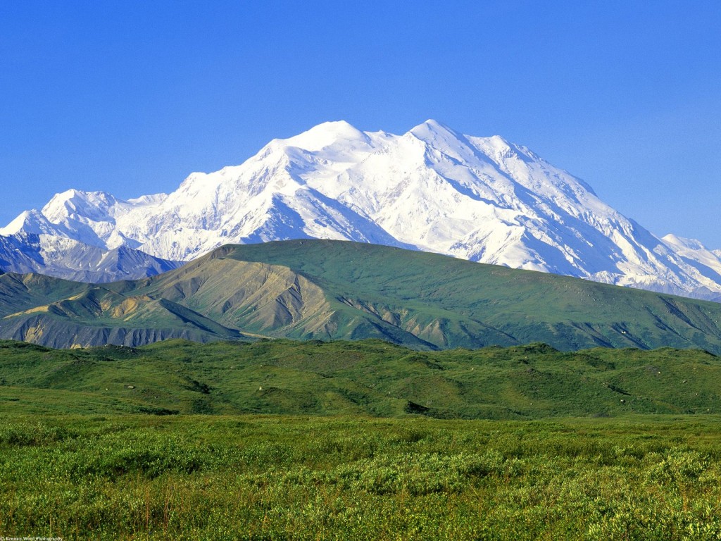 The peak of Denali juts out from behind the green foothills on a bright summer day