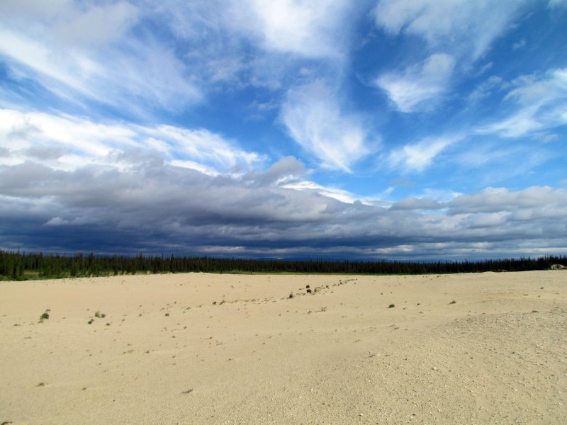 Sand meets the sky with a small strip of trees