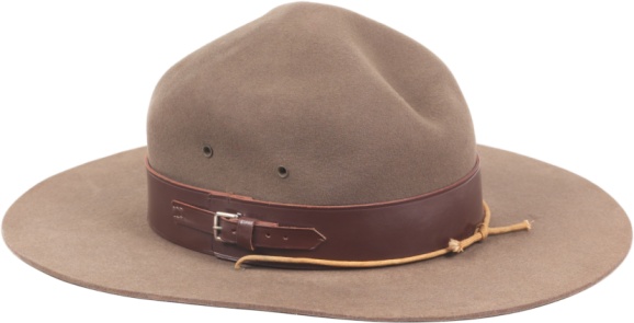 flat-brimmed hat with leather trip resembling a park ranger hat