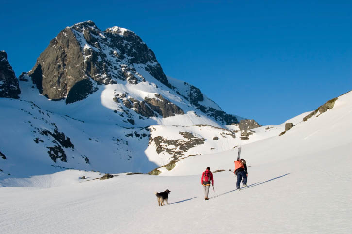 Mountaineers with dog