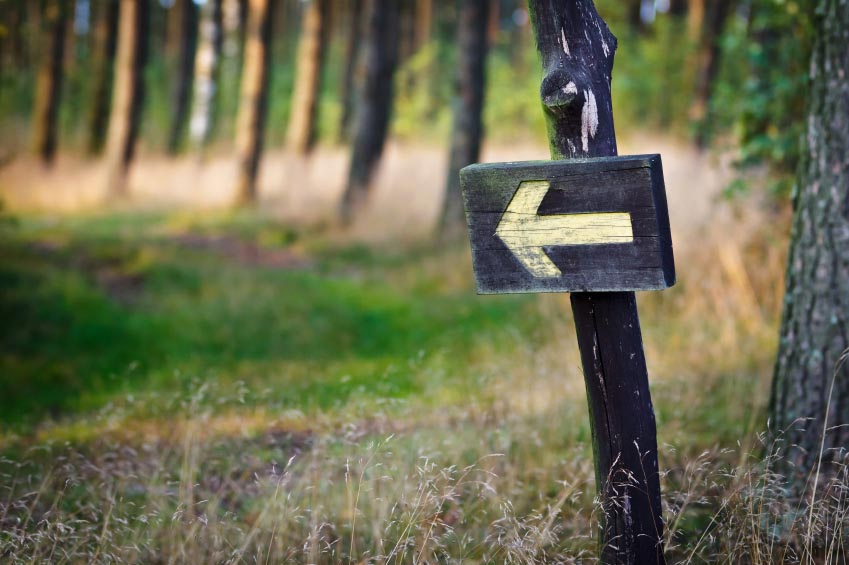 trail and signpost