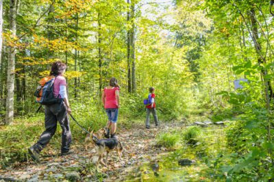 A family hikes through the woods