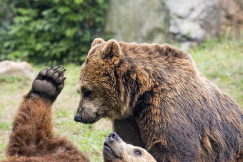 Katmai National Park