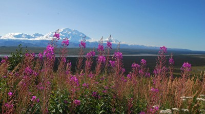 Driving in Alaska