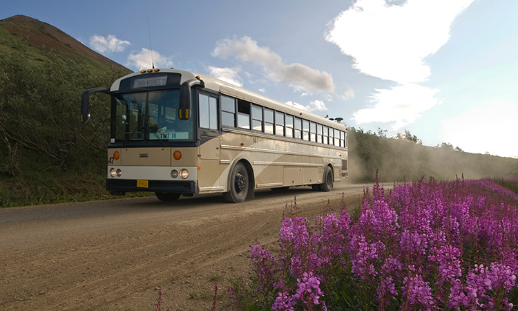 Denali Wilderness Lodge Tours Denali Wilderness Lodge Tours