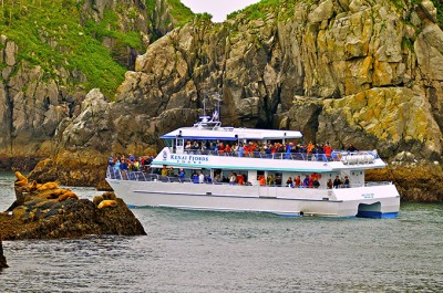 Kenai Fjords National Park Cruise