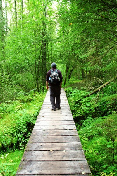 Kenai Nature Hike