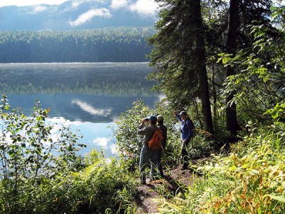 Mt. McKinley Byers Lake Nature Walk