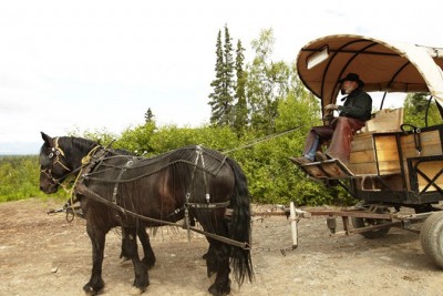 Horse Drawn Wagon Ride
