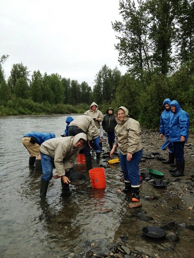 McKinley Wilderness gold Panning Adventure