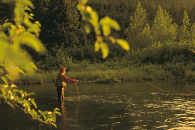 Alaska Sportfishing