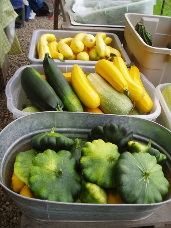 Green and yellow squash