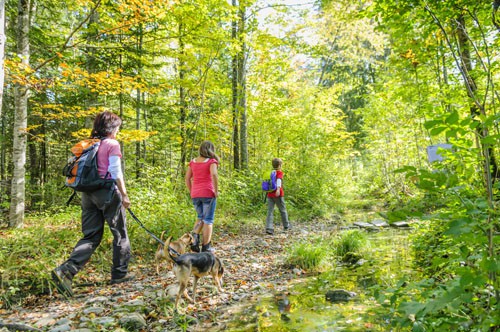 Family Fun in Alaska: Adventures for All Ages