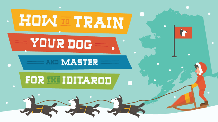 Graphic: How to train your dog or master for the Iditarod