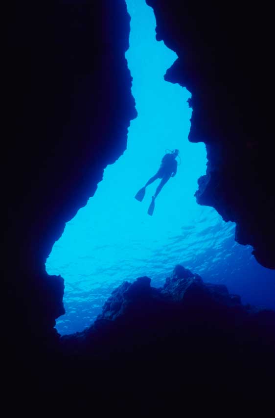 A diver in the ocean