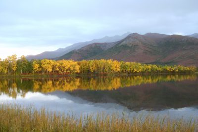 Shoreline reflections in a lake