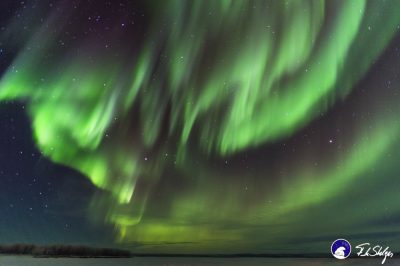 Glimmering green skies of the aurora