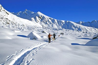 Cross-country skiers