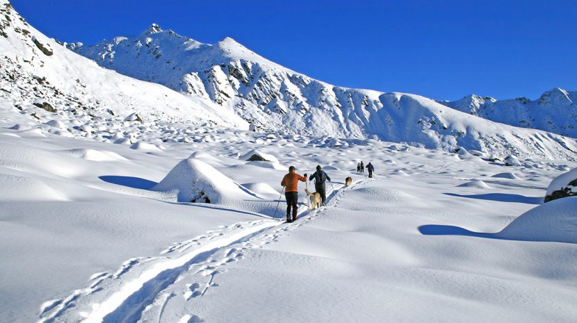 Cross-country skiers