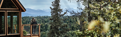 Treehouse looking toward Alaska Range