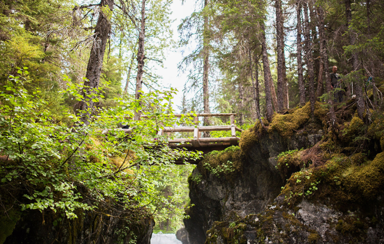 Footbridge in the woods over Winner Creek