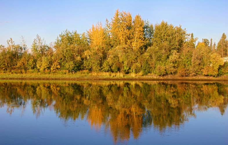 The calm Chena River reflecting the blue sky