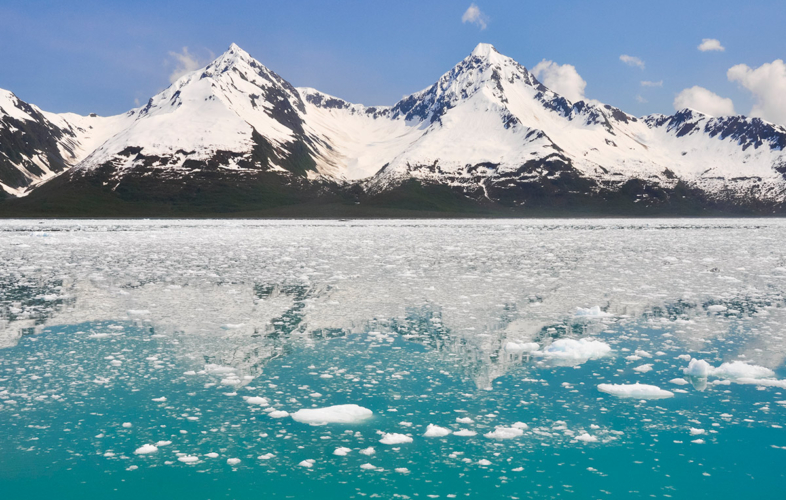 Aialik Bay full of floating glacial ice