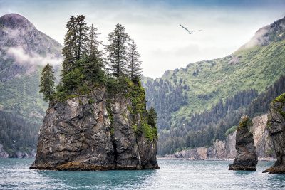 Small, rocky islands in Kenai Fjords National Park