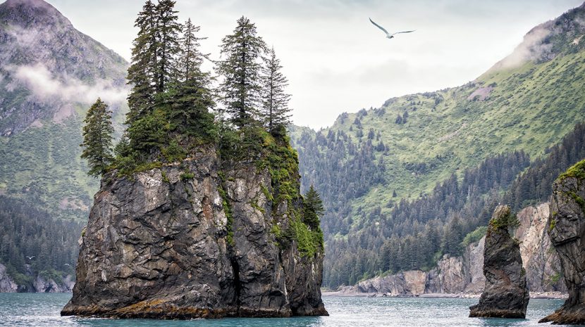 Kenai Fjords National Park features stunning coastline and nearly 40 glaciers.