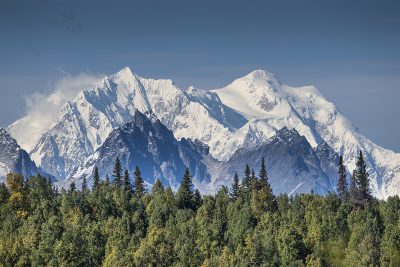 Stunning peaks of the Alaska range jutting out above trees