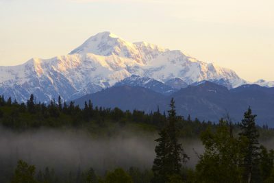 Stunning Denali with trees and fog in the foreground