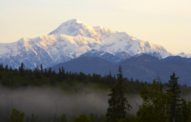 Stunning Denali with trees and fog in the foreground