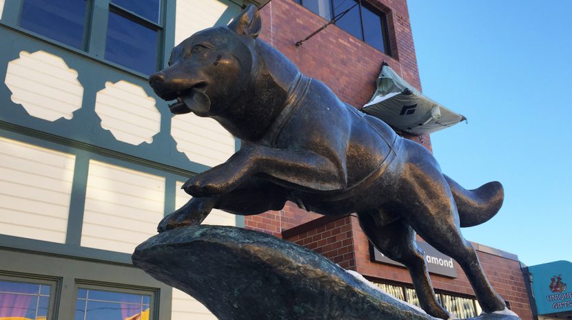 The Balto statue in downtown Anchorage