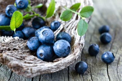 Fresh summer blueberries