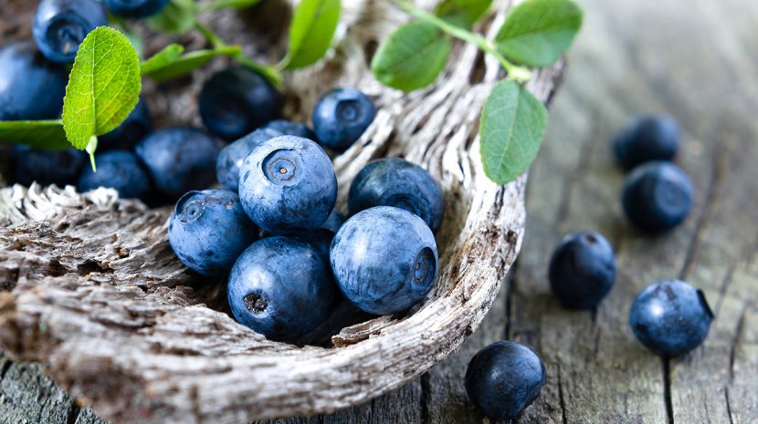 Fresh summer blueberries