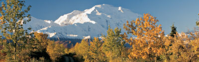 Denali National Park
