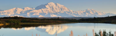 Denali National Park