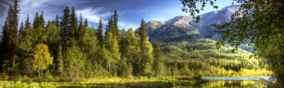 Kenai River