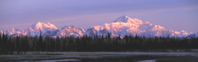 Denali National Park