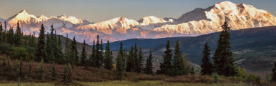Denali National Park