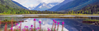 A lake on the Kenai Peninsula