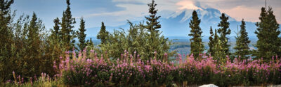 Wrangell-St. Elias National Park