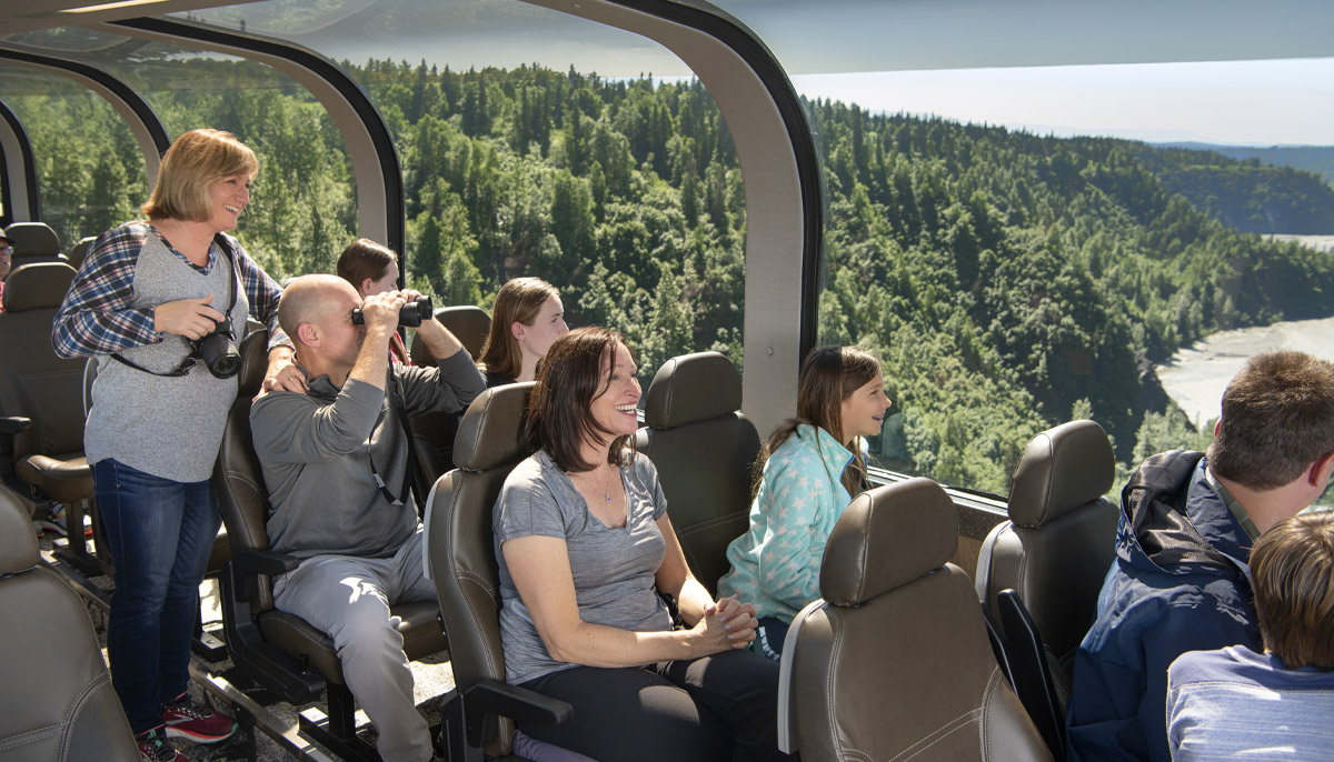 Can You See Denali Without a Cruise?